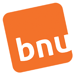 BNU, Dé Uitzendgroep in Nederland
